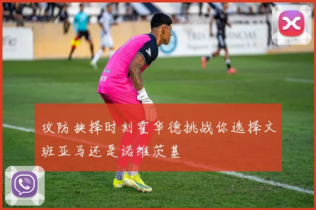 攻防抉择时刻霍华德挑战你选择文班亚马还是诺维茨基